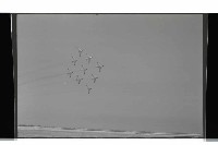 登錄號:KH2002.015.0081藏品圖，第9張