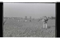 登錄號:KH2002.015.0082藏品圖，第23張