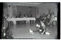 登錄號:KH2002.015.0137藏品圖，第29張