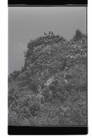 登錄號:KH2002.015.0147藏品圖，第4張