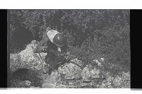 登錄號:KH2002.015.0147藏品圖，第28張