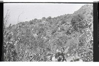 登錄號:KH2002.015.0176藏品圖，第30張