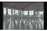 登錄號:KH2002.015.0265藏品圖，第16張