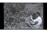 登錄號:KH2002.015.0293藏品圖，第10張