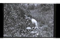 登錄號:KH2002.015.0293藏品圖，第11張