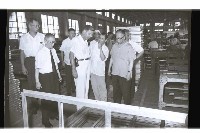 登錄號:KH2002.015.0308藏品圖，第15張