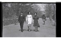 登錄號:KH2002.015.0317藏品圖，第4張