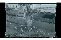 登錄號:KH2002.016.0002藏品圖，第14張