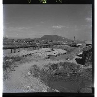 登錄號:KH2002.016.0016藏品圖，第2張