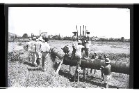 登錄號:KH2002.016.0017藏品圖，第3張