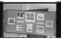 登錄號:KH2002.016.0022藏品圖，第16張