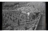 登錄號:KH2002.016.0045藏品圖，第17張