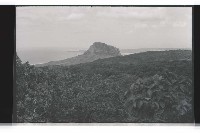 登錄號:KH2002.016.0049藏品圖，第2張