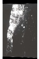 登錄號:KH2002.016.0049藏品圖，第3張