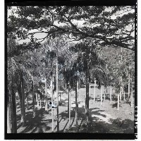 登錄號:KH2002.016.0050藏品圖，第2張