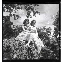 登錄號:KH2002.016.0050藏品圖，第3張