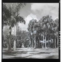 登錄號:KH2002.016.0050藏品圖，第5張