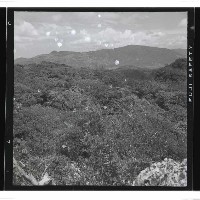 登錄號:KH2002.016.0050藏品圖，第8張