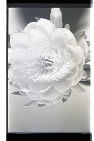 登錄號:KH2002.016.0056藏品圖，第3張
