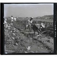 登錄號:KH2002.016.0058藏品圖，第11張