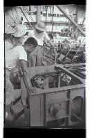 登錄號:KH2002.016.0070藏品圖，第8張