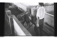 登錄號:KH2002.016.0074藏品圖，第11張