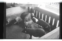 登錄號:KH2002.016.0074藏品圖，第14張