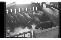 登錄號:KH2002.016.0074藏品圖，第15張