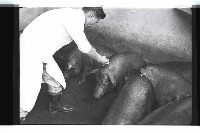 登錄號:KH2002.016.0074藏品圖，第16張