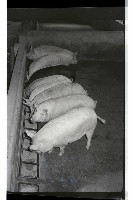 登錄號:KH2002.016.0074藏品圖，第18張