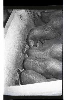 登錄號:KH2002.016.0074藏品圖，第20張