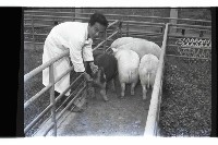 登錄號:KH2002.016.0074藏品圖，第21張