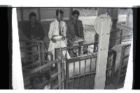 登錄號:KH2002.016.0074藏品圖，第28張