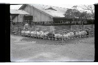 登錄號:KH2002.016.0074藏品圖，第29張