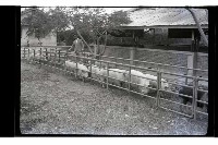 登錄號:KH2002.016.0074藏品圖，第30張