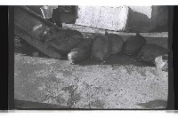 登錄號:KH2002.016.0075藏品圖，第4張