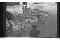 登錄號:KH2002.016.0075藏品圖，第5張