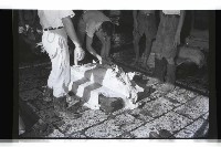 登錄號:KH2002.016.0075藏品圖，第6張