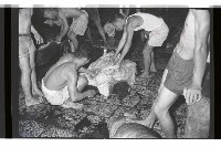 登錄號:KH2002.016.0075藏品圖，第8張