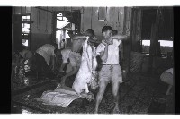 登錄號:KH2002.016.0075藏品圖，第14張