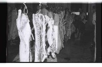 登錄號:KH2002.016.0075藏品圖，第24張