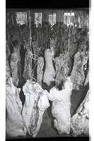 登錄號:KH2002.016.0075藏品圖，第25張