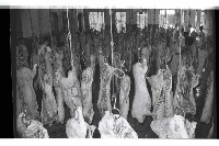 登錄號:KH2002.016.0075藏品圖，第26張