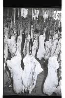 登錄號:KH2002.016.0075藏品圖，第30張