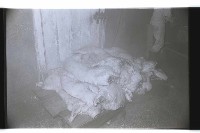 登錄號:KH2002.016.0075藏品圖，第46張