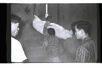 登錄號:KH2002.016.0075藏品圖，第50張