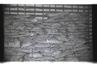 登錄號:KH2002.016.0075藏品圖，第62張