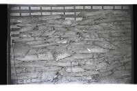 登錄號:KH2002.016.0076藏品圖，第1張