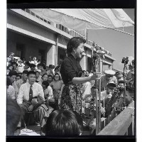 登錄號:KH2002.017.0002藏品圖，第14張