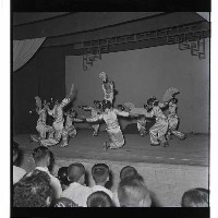 登錄號:KH2002.017.0006藏品圖，第4張